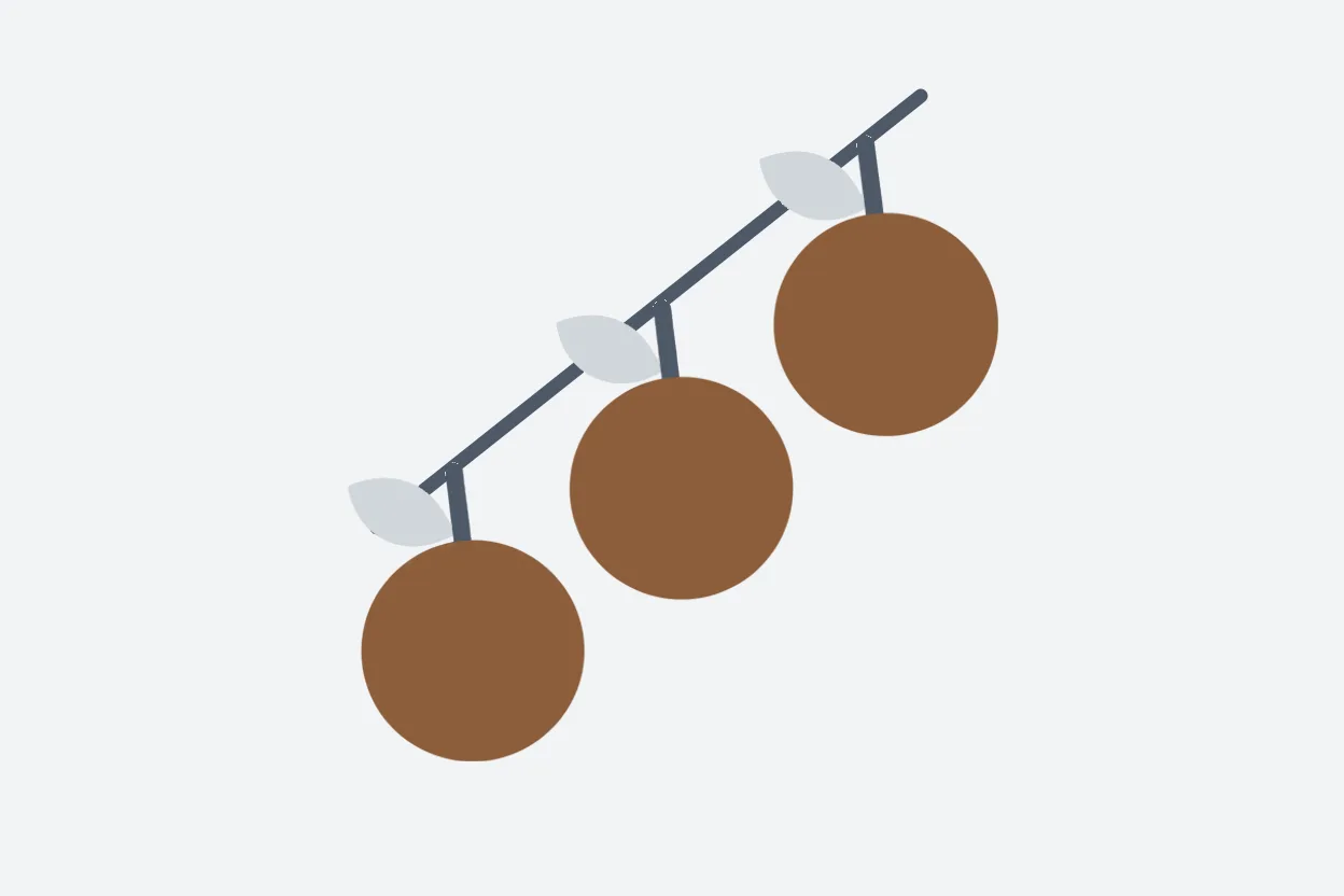 Flat illustration of three coffee cherries in an ascending row