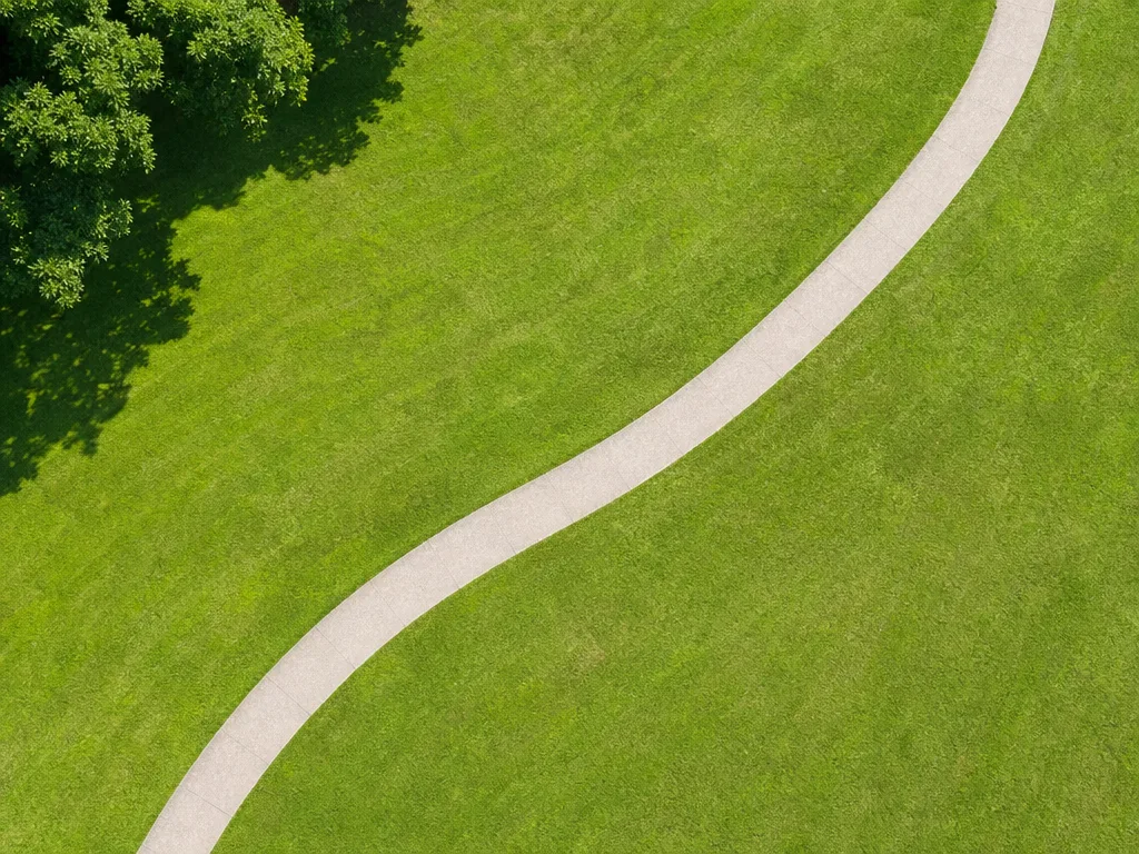 An overhead view of a smooth curving path crossing bright open ground.